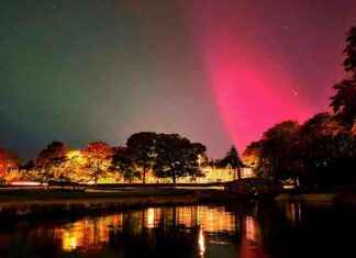 Captivating Northern Lights Photography: Locals’ Favorite Displays news-11102024-115310