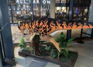 Discover the Dinosaur Trail in Aberdeen: A Prehistoric Adventure in the City news-12102024-121359