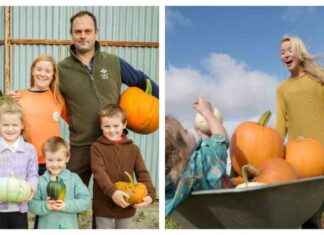 Highland Pumpkin Patch Thrives Despite Challenging Year: Premium Pumpkins for Sale news-15102024-132756