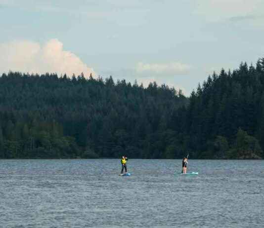 Magical Forest in Scotland Voted Best in Britain news-26102024-082726
