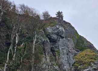 West Coast Road Reopens After Removal of 25 Tonne Rock Mass news-17112024-010538