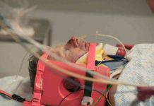 news-26112024-231633