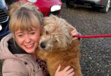 aberdeen-couple-reunited-with-missing-dog-thanks-to-drone-and-volunteer-search