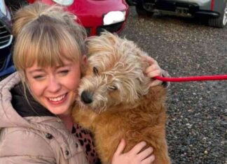 aberdeen-couple-reunited-with-missing-dog-thanks-to-drone-and-volunteer-search