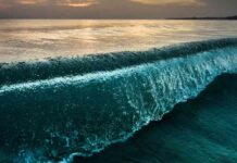 california-tsunami-warning-ssued-following-70-magnitude-earthquake