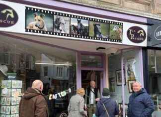 Nairn Charity Shop Faces Closure Due to Rising Costs, Greyhound Rescue at Risk in 2025 nairn-charity-shop-faces-closure-due-to-rising-costs-greyhound-rescue-at-risk-in-2025