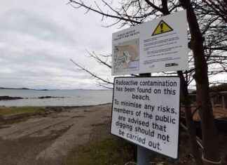 Radioactive Particles Persist at Scottish Bay Despite Cleanup Efforts radioactive-particles-persist-at-scottish-bay-despite-cleanup-efforts