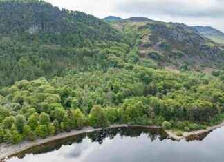 Restoration of Rare Habitat: Scottish Government Allocates £5 Million Funding restoration-of-rare-habitat-scottish-government-allocates-5-million-funding