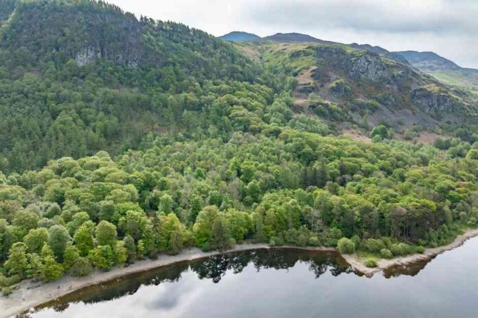 restoration-of-rare-habitat-scottish-government-allocates-5-million-funding