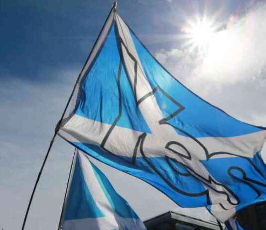 Scottish Independence SNP Grassroots Campaign Unites Movement scottish-ndependence-snp-grassroots-campaign-unites-movement