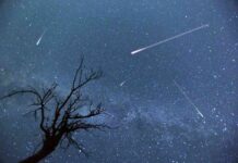 ultimate-guide-to-watching-the-geminid-meteor-shower-at-night