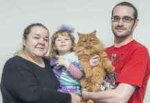 Discover Lossiemouth’s Beloved Wandering Kitten Bingo discover-lossiemouths-beloved-wandering-kitten-bingo