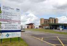Pest Infestation in Highland and Grampian NHS Buildings: A Concern for Public Health pest-nfestation-in-highland-and-grampian-nhs-buildings-a-concern-for-public-health