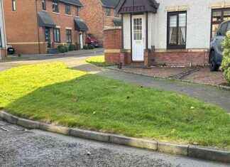 Three Small Plots of Land for Sale in Kingswells for £1k three-small-plots-of-land-for-sale-in-kingswells-for-1k