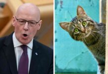 john-swinney-clarifies-snp-stance-on-cat-ban