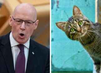 John Swinney Clarifies SNP Stance on Cat Ban john-swinney-clarifies-snp-stance-on-cat-ban