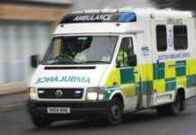 Teenager Hospitalized After Bus Accident teenager-hospitalized-after-bus-accident