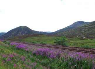 Top Car-Free Travel Destination: Famous Scottish Train Station top-car-free-travel-destination-famous-scottish-train-station