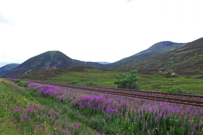 top-car-free-travel-destination-famous-scottish-train-station