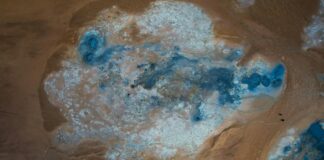 Aberdeen Northern Marts: Discover Unique Treasures and Deals!