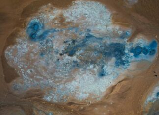 Aberdeen Northern Marts: Discover Unique Treasures and Deals!