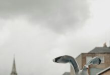 Halfords Aberdeen: Discover Exceptional Deals for Your Vehicle!