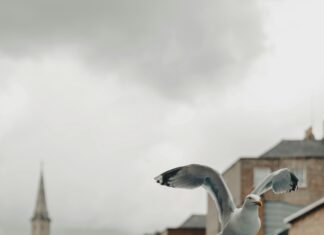 Halfords Aberdeen: Discover Exceptional Deals for Your Vehicle!