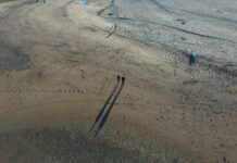 Aberdeen Beach: Discover Hidden Gems and Unforgettable Views