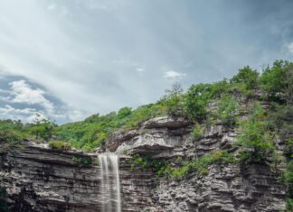 Hazlehead Park Aberdeen: Discover The Hidden Gems Awaiting You