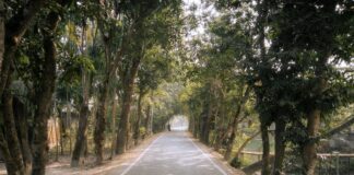 My Aberdeen: Discover The Hidden Gems Of This Charming City