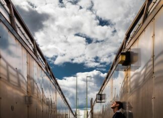 Dundee United Vs Aberdeen: Who Will Dominate This Epic Clash?