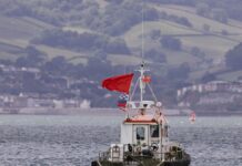 Aberdeen FC Twitter: Discover The Latest Updates and Behind-The-Scenes