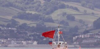 Aberdeen FC Twitter: Discover The Latest Updates and Behind-The-Scenes