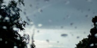 Weather Aberdeen Today: Discover What to Expect This Afternoon!