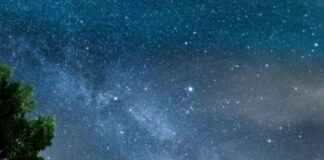 Aberdeen Vs Motherwell: Who Will Dominate in the Next Clash?