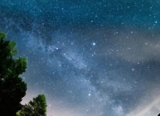 Aberdeen Vs Motherwell: Who Will Dominate in the Next Clash?