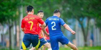 Aberdeen F.C. Games: Discover Exciting Matches and Highlights