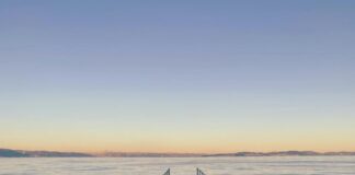 Aberdeen And Northern Marts: Discover The Secrets To Success