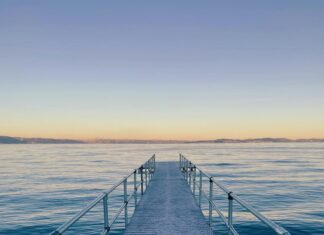 Aberdeen And Northern Marts: Discover The Secrets To Success