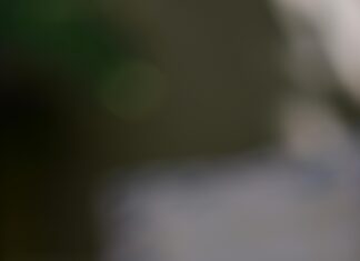 Dunelm Aberdeen: Discover The Ultimate Home Essentials Today!