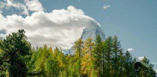 Aberdeen Vs Kilmarnock: Who Will Claim Victory This Season?