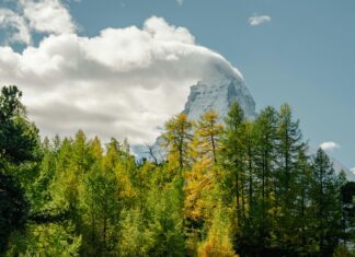 Aberdeen Vs Kilmarnock: Who Will Claim Victory This Season?