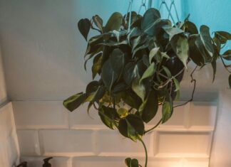 Leonardo Hotel Aberdeen: Discover Luxury and Comfort Awaits You