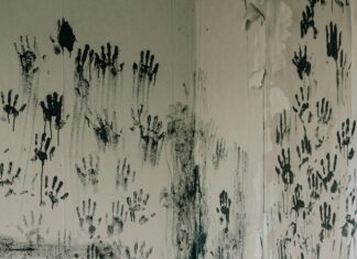 Abandoned Aberdeen Journals Death Notices: What Secrets Do They Hold?