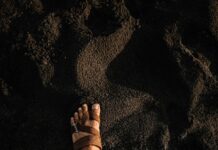 Aberdeen F.C. Standings: Discover Their Journey to the Top!