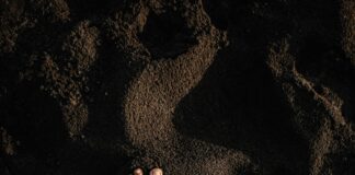 Aberdeen F.C. Standings: Discover Their Journey to the Top!