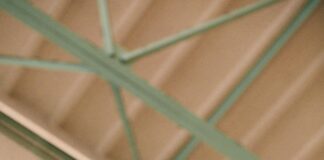 Abedeen Score: Unlocking Secrets to Enhanced Health Insights