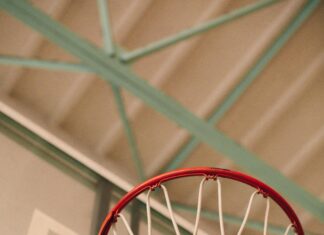 Abedeen Score: Unlocking Secrets to Enhanced Health Insights