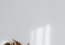 Aspc Aberdeen City: Discover Your Dream Home Today in Style!