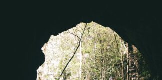 Argos Aberdeen: Discover Exceptional Deals and Hidden Treasures!